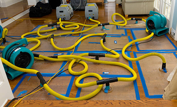 Professional Basement Flood Cleanup technician working in Valley, WA